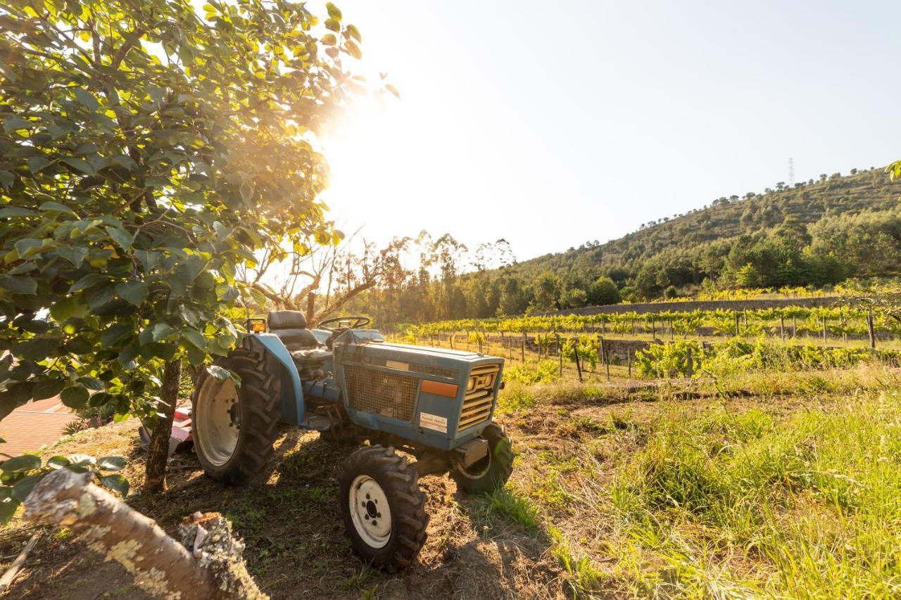 Quinta Da Fonte - Agroturismo Barroselas Esterno foto