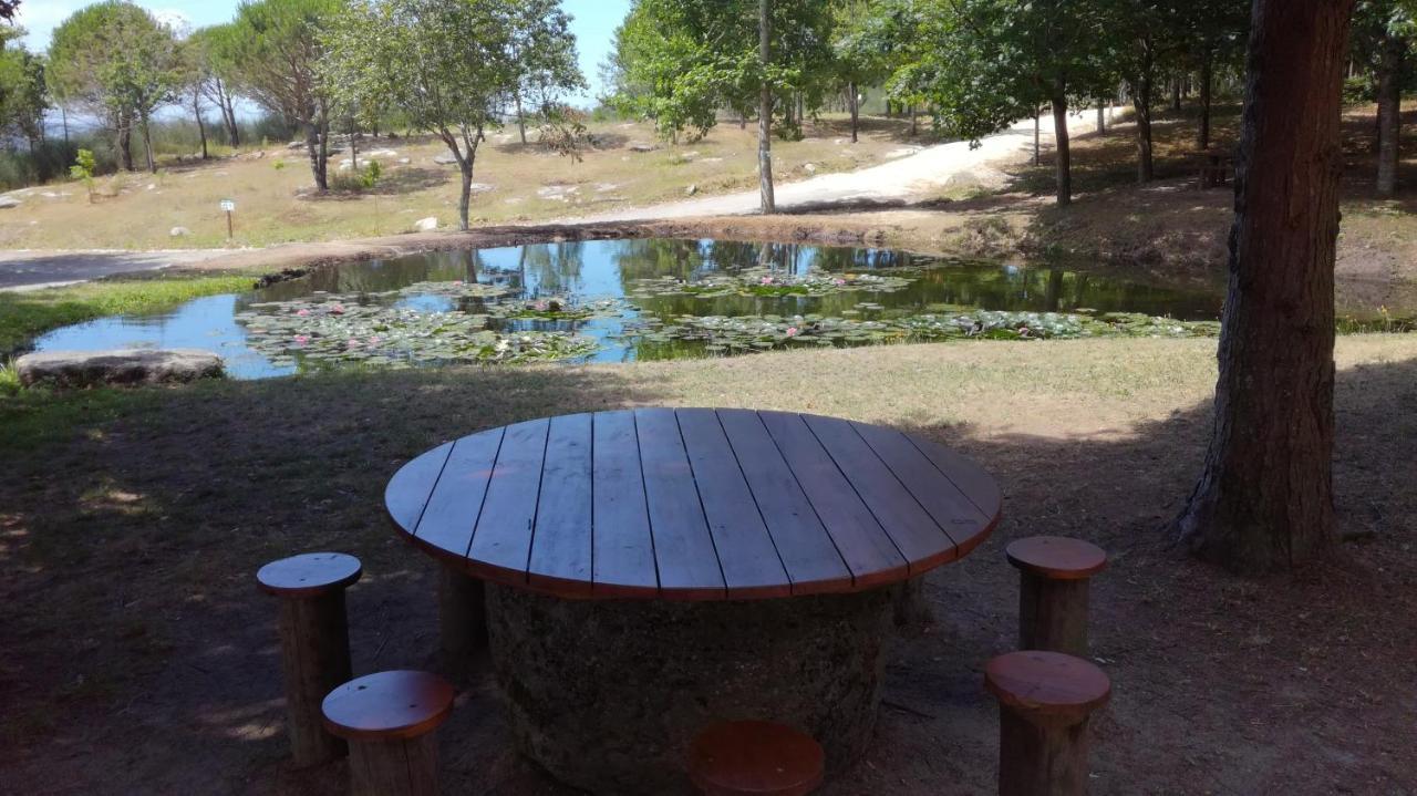 Quinta Da Fonte - Agroturismo Barroselas Esterno foto