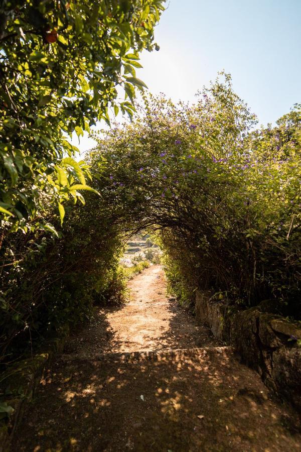 Quinta Da Fonte - Agroturismo Barroselas Esterno foto