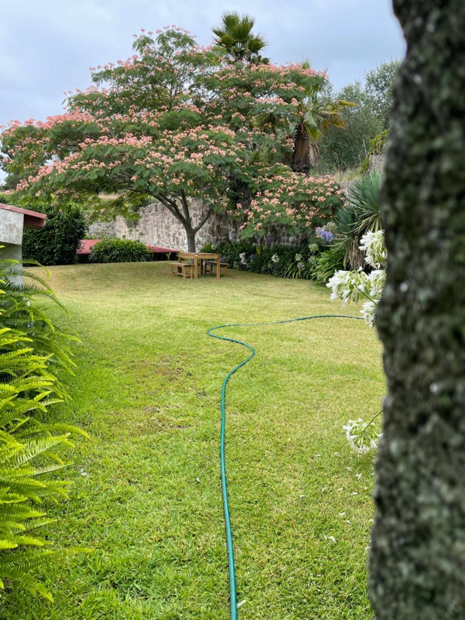 Quinta Da Fonte - Agroturismo Barroselas Esterno foto