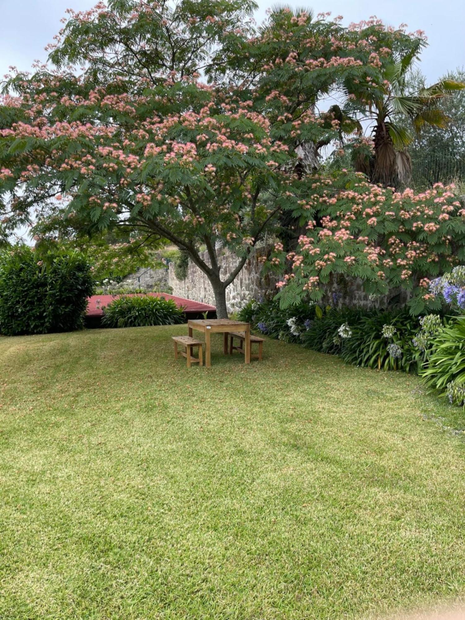 Quinta Da Fonte - Agroturismo Barroselas Camera foto